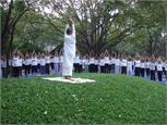 Picture 026